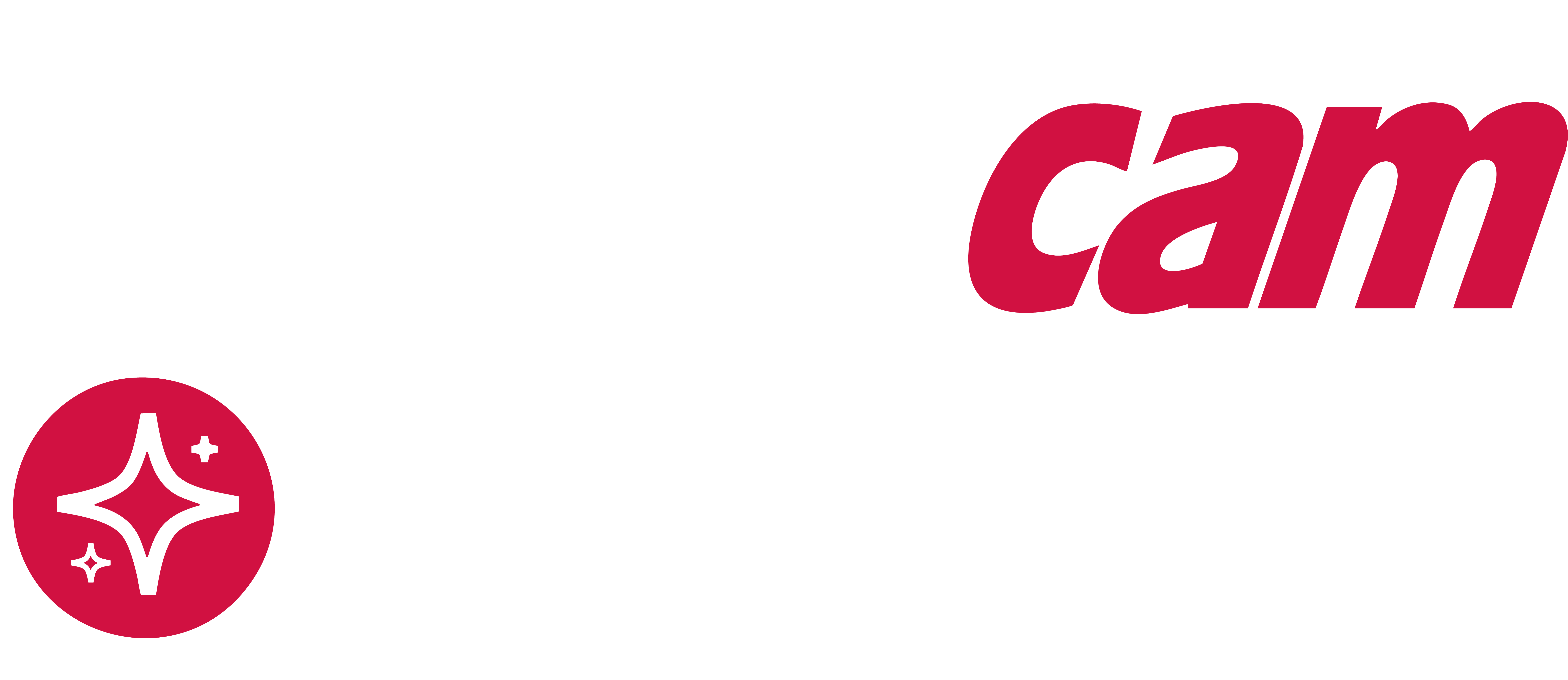 Mastercam Copilot logo